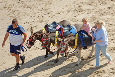 Donkey Rides